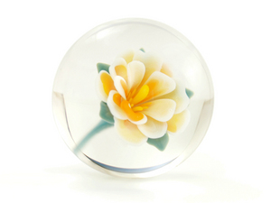 glass01.jpg
